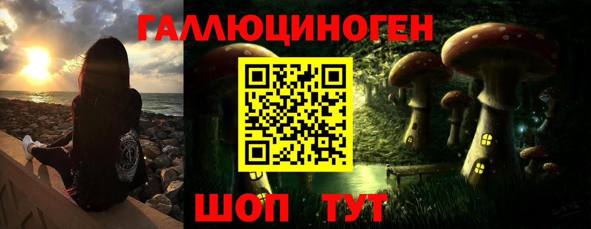 Краснокаменск  Псилоцибиновые грибы GOLDEN TEACHER  Вход с VPN 